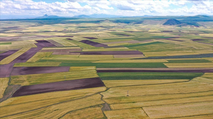 4 adet arsa ihaleyle satışa sunuluyor