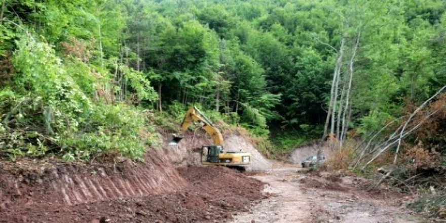 Orman yolu yaptırılacak