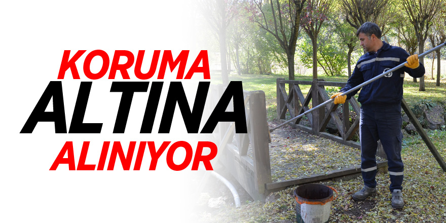 Koruma altına alınıyor