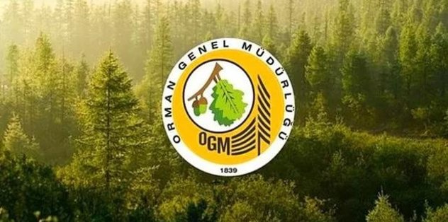 Orman Genel Müdürlüğü 338 Sözleşmeli Personel Alacak