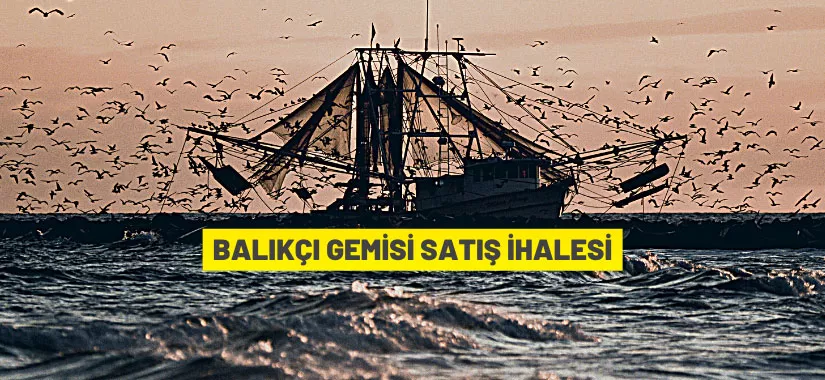 Rize'de balıkçı gemisi satış ihalesi