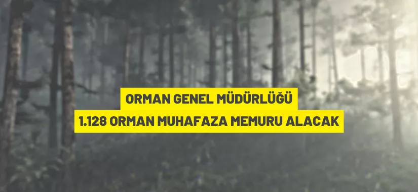 Orman Genel Müdürlüğü 1.128 orman muhafaza memuru alacak