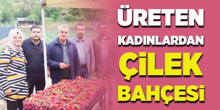 Üreten Kadınlardan Çilek Bahçesi