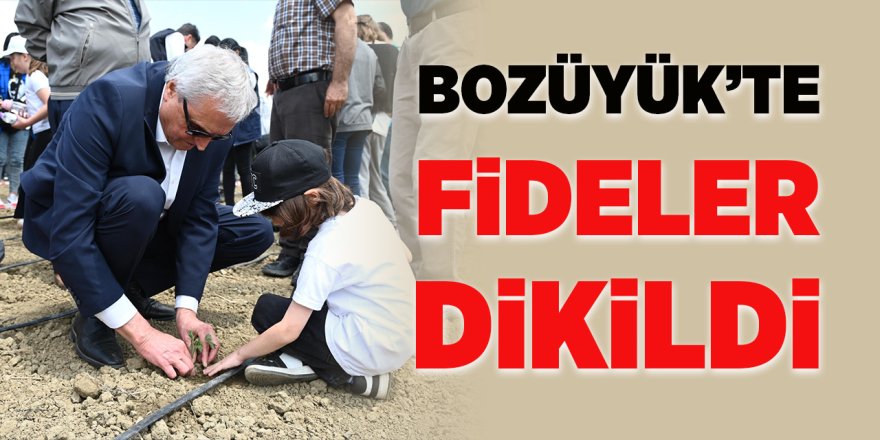 Bozüyük'te Fideler Dikildi