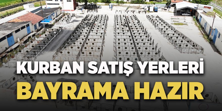 Kurban Satış Yerleri Bayrama Hazır