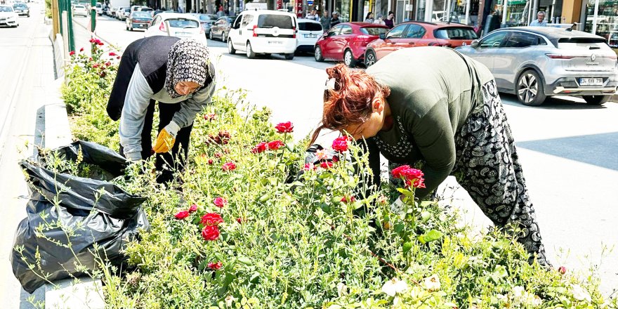 Çevre Düzenleme Çalışmaları