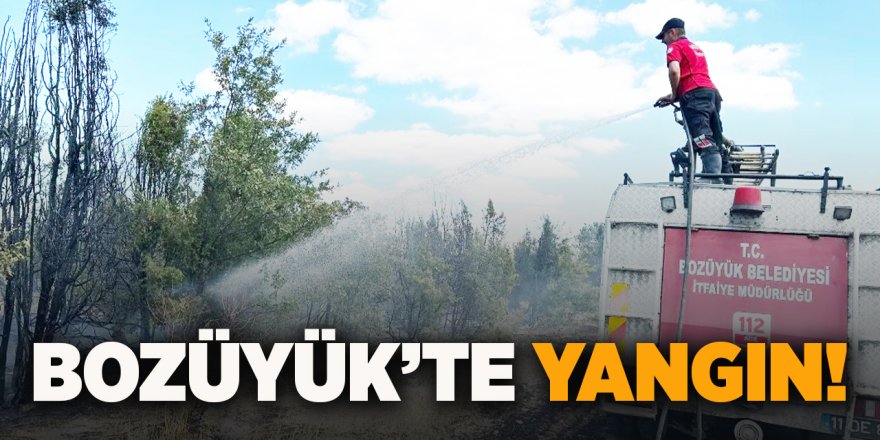 Bozüyük'te Yangın!