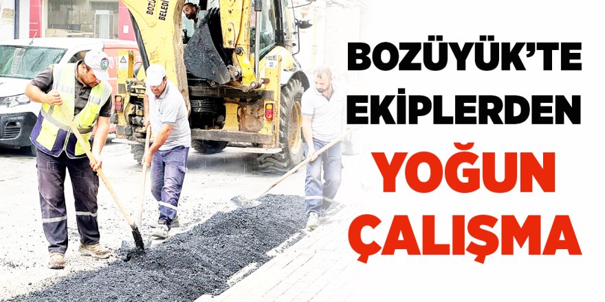 Bozüyük'te Ekiplerden Yoğun Çalışma