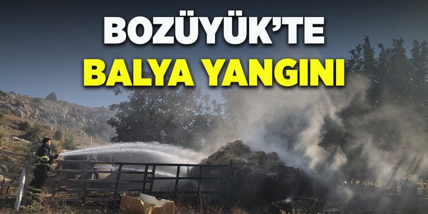 Bozüyük'te Balya Yangını