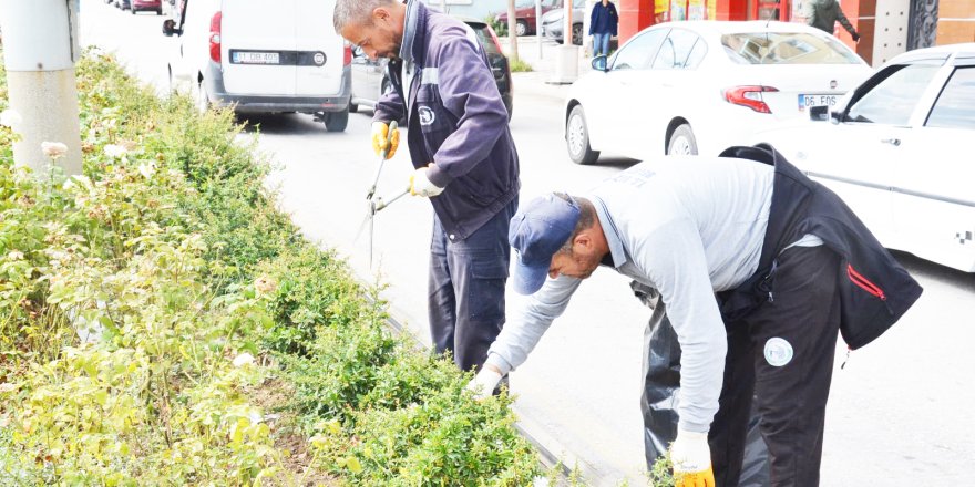 Ekiplerden Çevre Düzenleme Çalışmaları