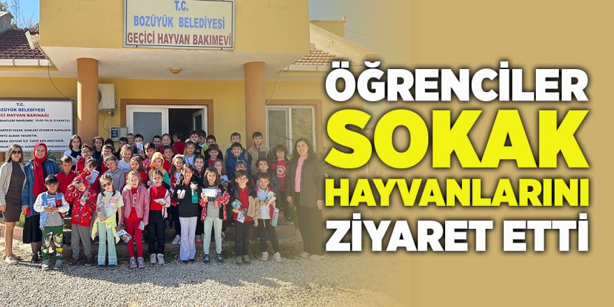 Öğrenciler Sokak Hayvanlarını Ziyaret Etti