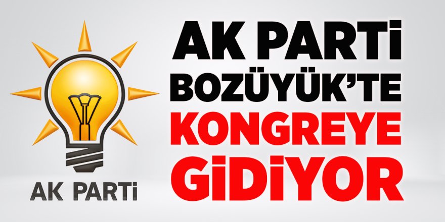 AK Parti Bozüyük'te Kongreye Gidiyor