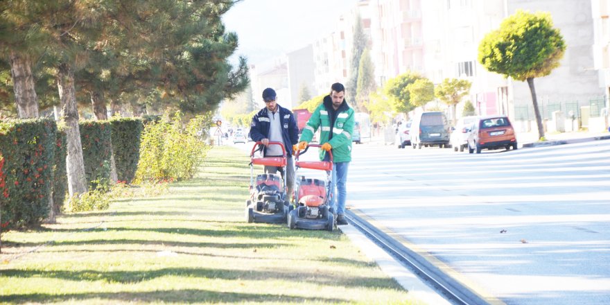 Yeşil Alanlarda Bakım Çalışmaları