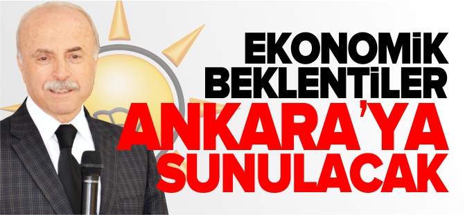 EKONOMİK BEKLENTİLER ANKARA’YA SUNULACAK