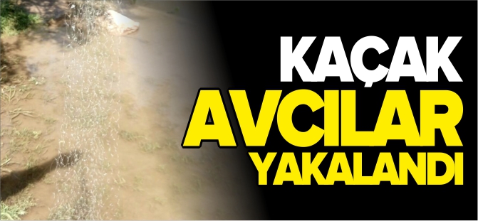 KAÇAK AVCILAR YAKALANDI